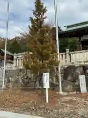 厄除八幡宮　(兵庫県)