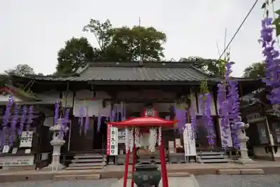 寺岡山元三大師の本殿・本堂