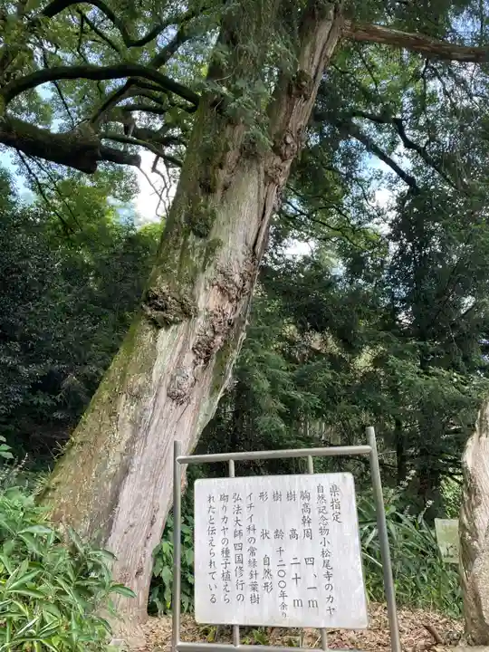 大興寺(香川県)