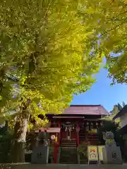 鹿角八坂神社(秋田県)