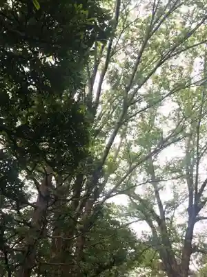 船橋不動尊　寳性寺の自然