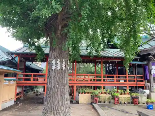 水海道鎮守 八幡神社(茨城県)