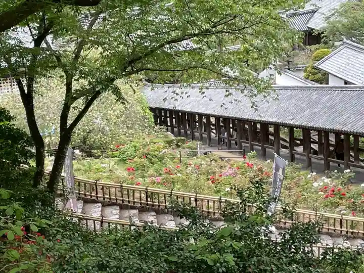 長谷寺の{uncategorized: "未分類", other: "その他", undefined: "問題あり", building: "その他建物", grave: "お墓", sacred_gate: "鳥居", guardian: "狛犬", statue: "像", buddha: "仏像", history: "歴史", nature: "自然", garden: "庭園", animal: "動物", pagoda: "塔", temizu: "手水舎", mountain_gate: "山門・神門", sanctuary: "本殿・本堂", subordinate: "末社・摂社", art: "芸術", scenery: "景色", jizo: "地蔵", ema: "絵馬", goshuin: "御朱印", omikuji: "おみくじ", items: "授与品その他", amulet: "お守り", goshuincho: "御朱印帳", eats: "食事", festival: "お祭り", votive_dance: "神楽", shichigosan: "七五三参", wedding: "結婚式", experience: "体験その他", initially: "初詣", around: "周辺", anti_infection: "感染症対策"}