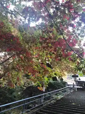 最乗寺（道了尊）のその他建物