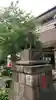若宮八幡宮 の狛犬