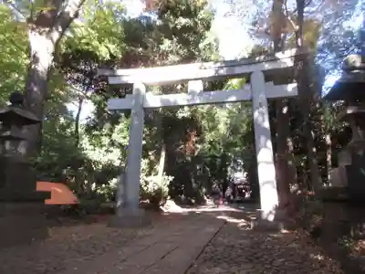 代々木八幡宮(東京都)