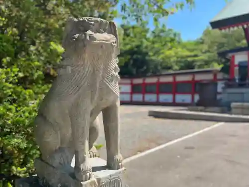 住吉神社の狛犬