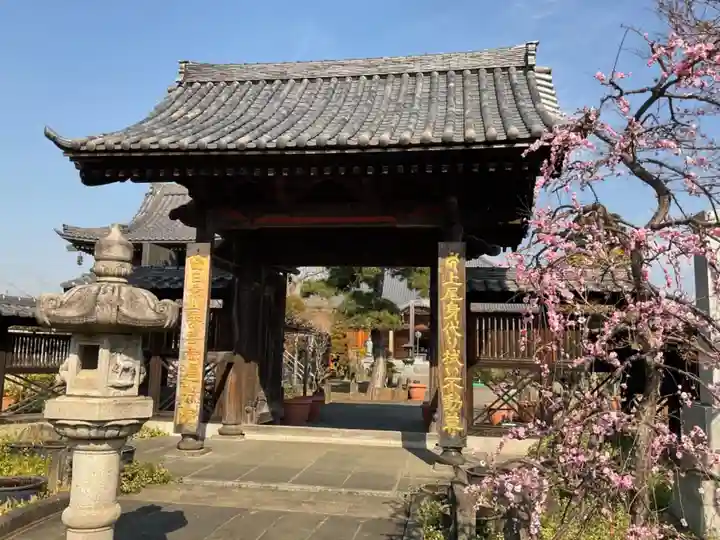 遍照院の山門・神門