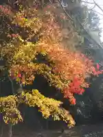 大豊神社の自然