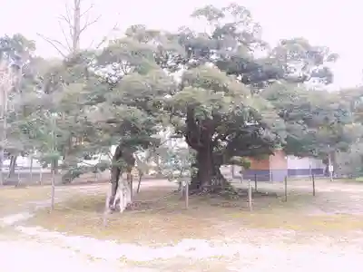 滑河山龍正院(千葉県)