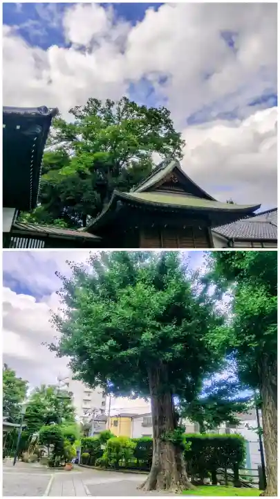平塚神社(東京都)