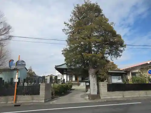 隣光院(静岡県)