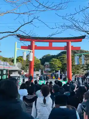鶴岡八幡宮の初詣