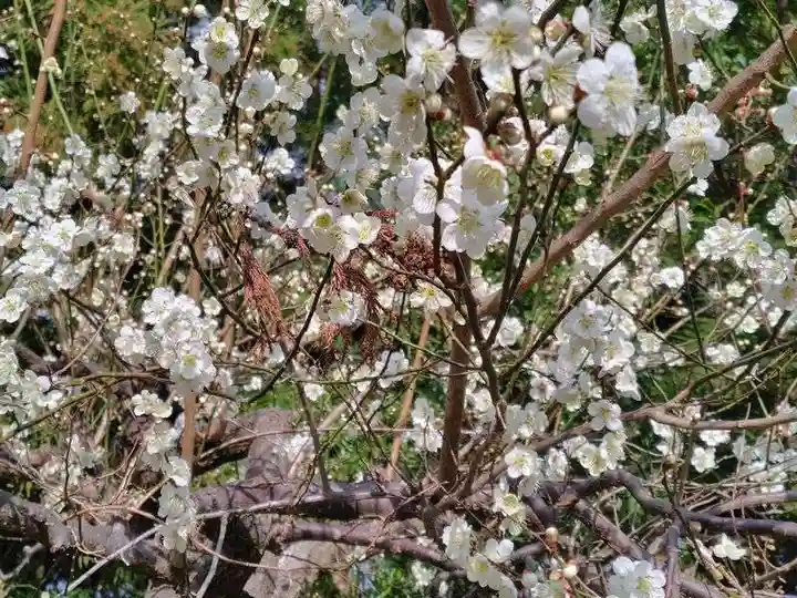 豊景神社(福島県)