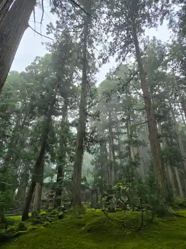 平泉寺白山神社(福井県)