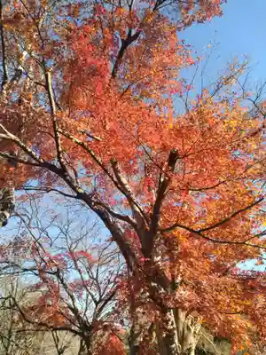 松山寺(宮城県)