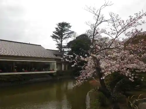 鶴岡八幡宮の庭園