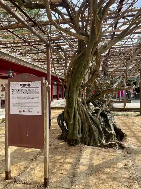 笠間稲荷神社の{uncategorized: "未分類", other: "その他", undefined: "問題あり", building: "その他建物", grave: "お墓", sacred_gate: "鳥居", guardian: "狛犬", statue: "像", buddha: "仏像", history: "歴史", nature: "自然", garden: "庭園", animal: "動物", pagoda: "塔", temizu: "手水舎", mountain_gate: "山門・神門", sanctuary: "本殿・本堂", subordinate: "末社・摂社", art: "芸術", scenery: "景色", jizo: "地蔵", ema: "絵馬", goshuin: "御朱印", omikuji: "おみくじ", items: "授与品その他", amulet: "お守り", goshuincho: "御朱印帳", eats: "食事", festival: "お祭り", votive_dance: "神楽", shichigosan: "七五三参", wedding: "結婚式", experience: "体験その他", initially: "初詣", around: "周辺", anti_infection: "感染症対策"}