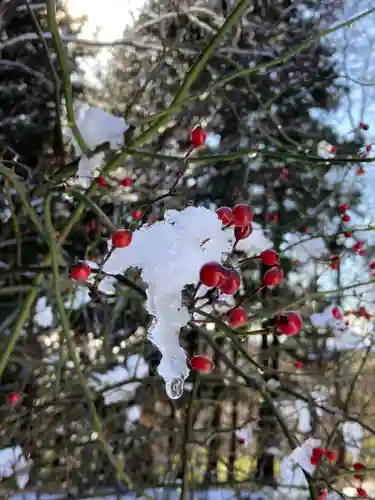 十二山神社(群馬県)
