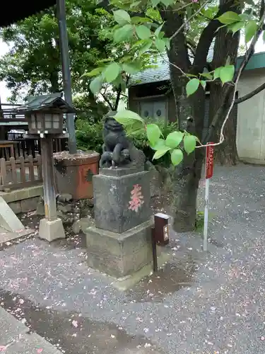 七社神社の狛犬