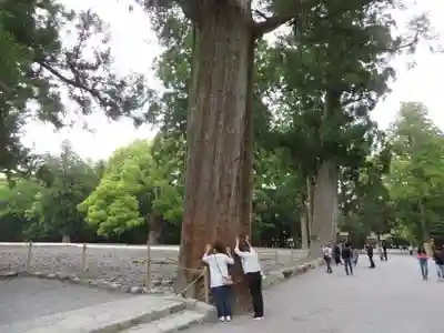伊勢神宮外宮（豊受大神宮）(三重県)