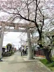 福島八幡宮の鳥居