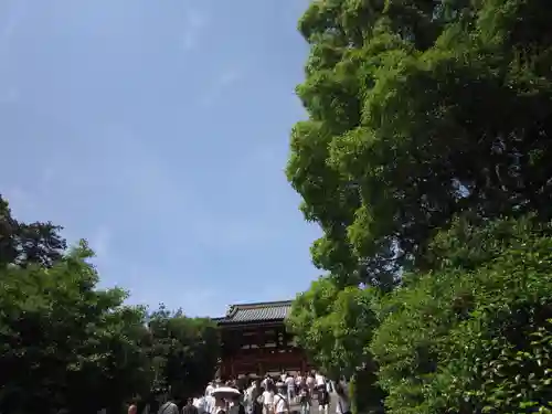 鶴岡八幡宮の景色