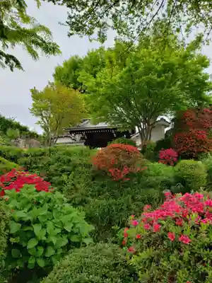 神足寺(東京都)