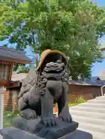 札幌諏訪神社の狛犬