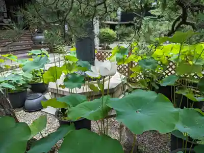 行願寺（革堂）(京都府)