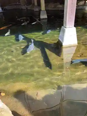 勝海舟神社(神奈川県)