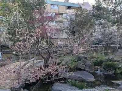 湯島天満宮(東京都)