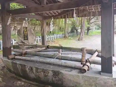 大分八幡宮(福岡県)