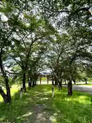 子檀嶺神社(長野県)