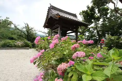 長保寺の庭園