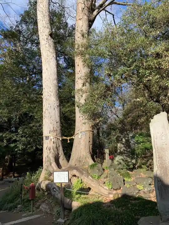 妻沼聖天山歓喜院のその他建物