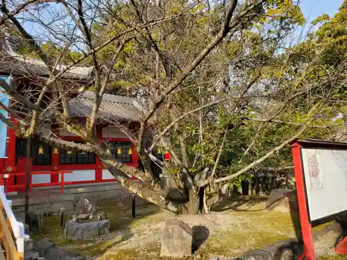 市原稲荷神社の自然