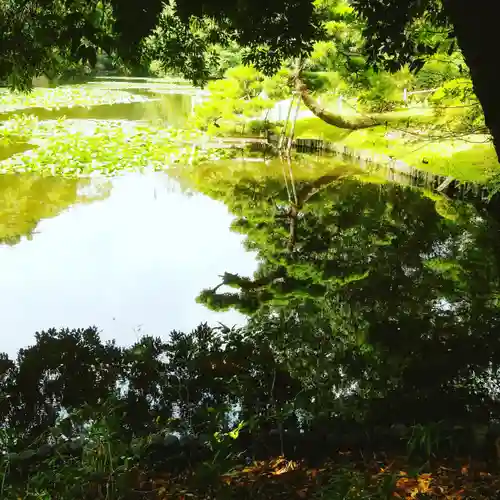 明治神宮の庭園