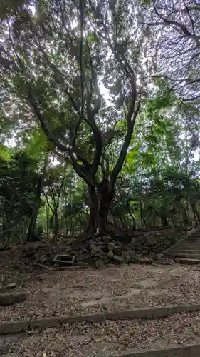 新羅善神堂（三井寺園城寺飛地境内・北院鎮守社）(滋賀県)