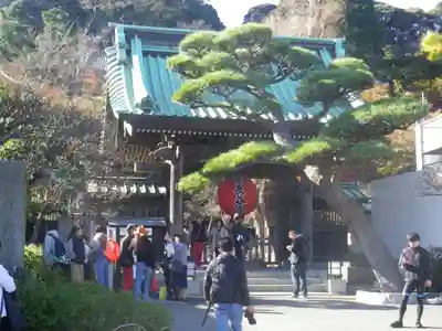 長谷寺の山門・神門