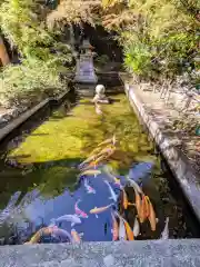 石鎚神社(愛媛県)