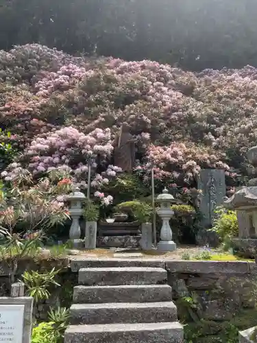 横峰寺(愛媛県)