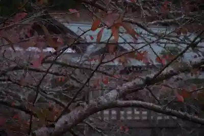 安房神社(千葉県)