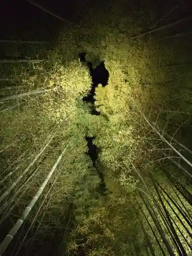 高台寺（高台寿聖禅寺・高臺寺）(京都府)