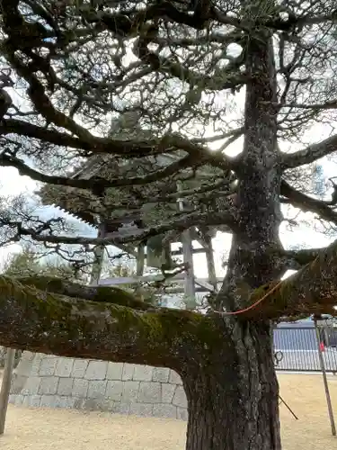 本福寺(滋賀県)
