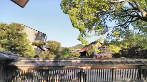 大覚寺の本殿・本堂