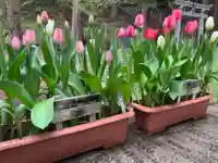 大宮温泉神社の自然