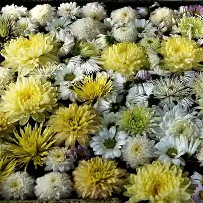  岳温泉神社 の手水舎