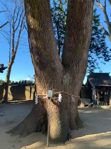 三島八幡神社の庭園