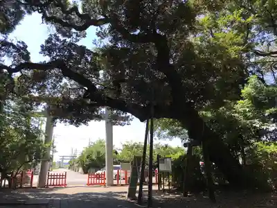 息栖神社のその他建物